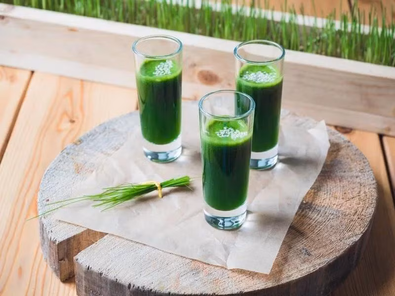 Nước ép cỏ lúa mì: Nước ép cỏ lúa mì chứa các thành phần kháng khuẩn, không chỉ giúp làm dịu cơn đau răng mà còn giúp ngừa sâu răng. Bạn chỉ cần dùng loại nước ép này như nước súc miệng.