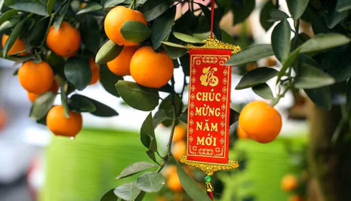 Cach chon dao, quat dung phong thuy, Than Tai 