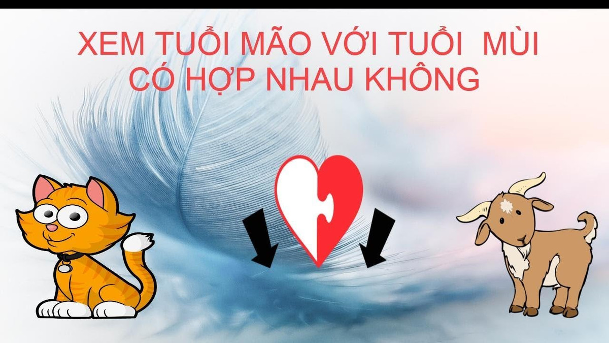 Trong cuộc sống hôn nhân cặp đôi này sẽ có cuộc sống bình yên, cuộc sống luôn êm ả. Trong cuộc sống người tuổi Mão và tuổi Mùi vì mục tiêu chung đó cả hai sẽ cố gắng không ngừng nghỉ nên dễ dàng thành công trong cuộc sống. 
