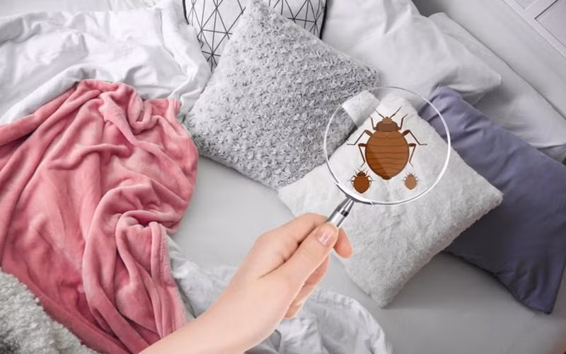 Canh bao nhung thoi quen dang 'an mon' suc khoe-Hinh-7