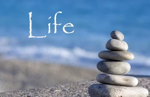 Vi sao chung ta cu mai dam chim trong muon phien?