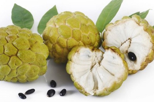 Luu y khi an na tranh ruoc benh vao co the