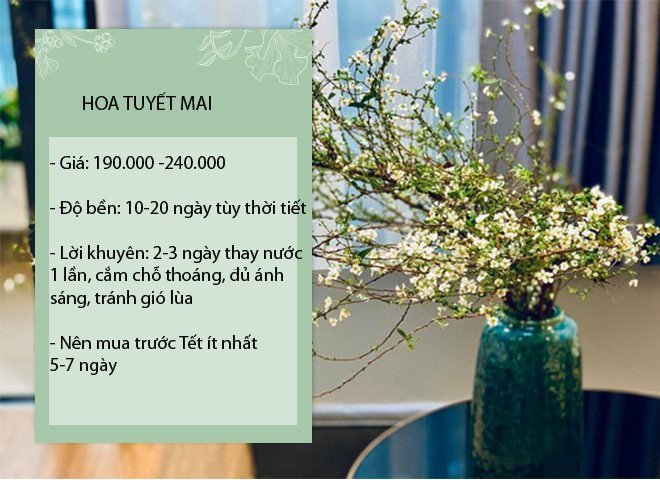 Chi em ro mot choi hoa nhap khau gia re, khoang 200 ngan/ bo