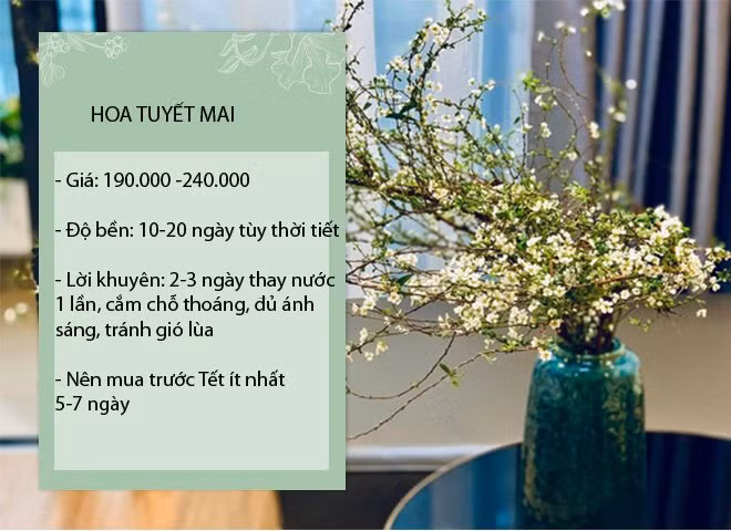 Chi em ro mot choi hoa nhap khau gia re, khoang 200 ngan/ bo