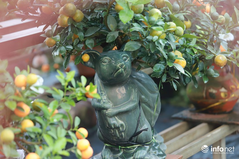 Để có được hàng nghìn cây cảnh chuột vàng "cõng" quất bonsai, các nhà vườn đã phải chuẩn bị chậu/bình trồng và cây từ nhiều tháng trước.