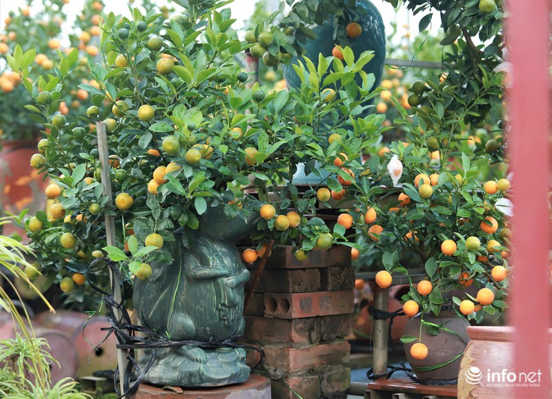 Đặc biệt, những chú chuột "cõng" trên lưng túi vàng, biểu trưng cho sự sung túc, tài lộc và gửi gắm hy vọng một năm mới Canh Tý 2020 no đủ, bội thu đang hút khách.