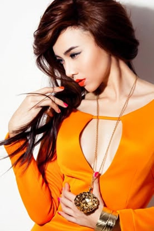  Đinh Ngọc Diệp sinh năm 1984, bước chân vào làng giải trí sau khi giành ngôi vị cao nhất của cuộc thi Hoa khôi Tây Đô năm 2004.