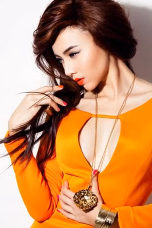  Đinh Ngọc Diệp sinh năm 1984, bước chân vào làng giải trí sau khi giành ngôi vị cao nhất của cuộc thi Hoa khôi Tây Đô năm 2004.