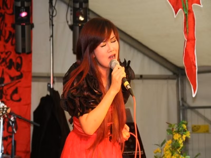 Năm 2007, Võ Hạ Trâm đoạt giải nhất cuộc thi Ngôi sao Tiếng hát truyền hình TP.HCM. Năm 2014, nữ ca sĩ tốt nghiệp khoa thanh nhạc tại Nhạc viện TPHCM. Cô sang Mỹ học thạc sĩ chuyên ngành Broadway trong 2 năm. Năm 2016, ca sĩ Võ Hạ Trâm về Việt Nam ca hát và làm giảng viên thanh nhạc tại Nhạc viện TPHCM. Ảnh: FB Võ Hạ Trâm.