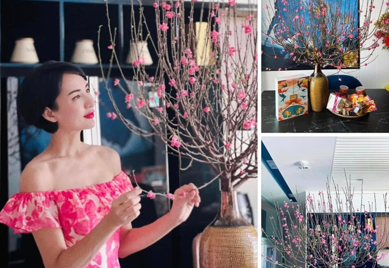 Hoa hậu Du lịch Việt Nam 2008 còn dấn thân vào lĩnh vực kinh doanh.