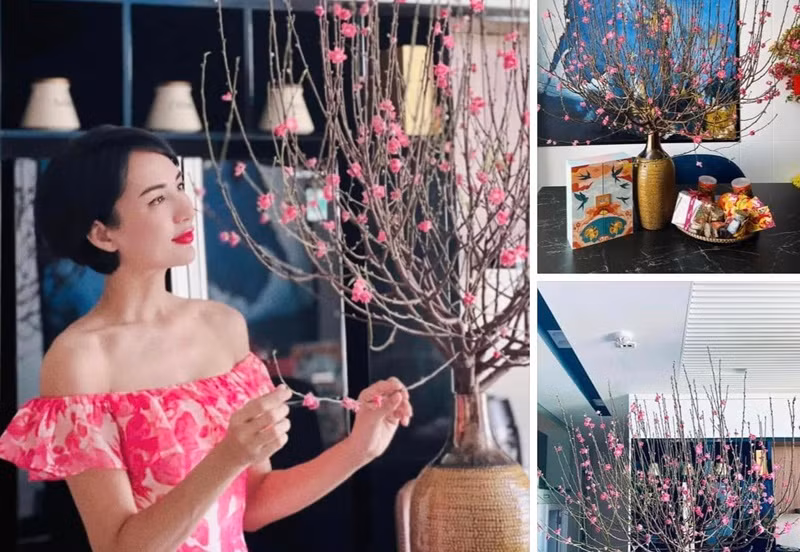 Hoa hậu Du lịch Việt Nam 2008 còn dấn thân vào lĩnh vực kinh doanh.