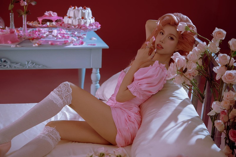 Trang Pháp từng theo học ngành kinh tế trước khi theo đuổi đam mê nghệ thuật.