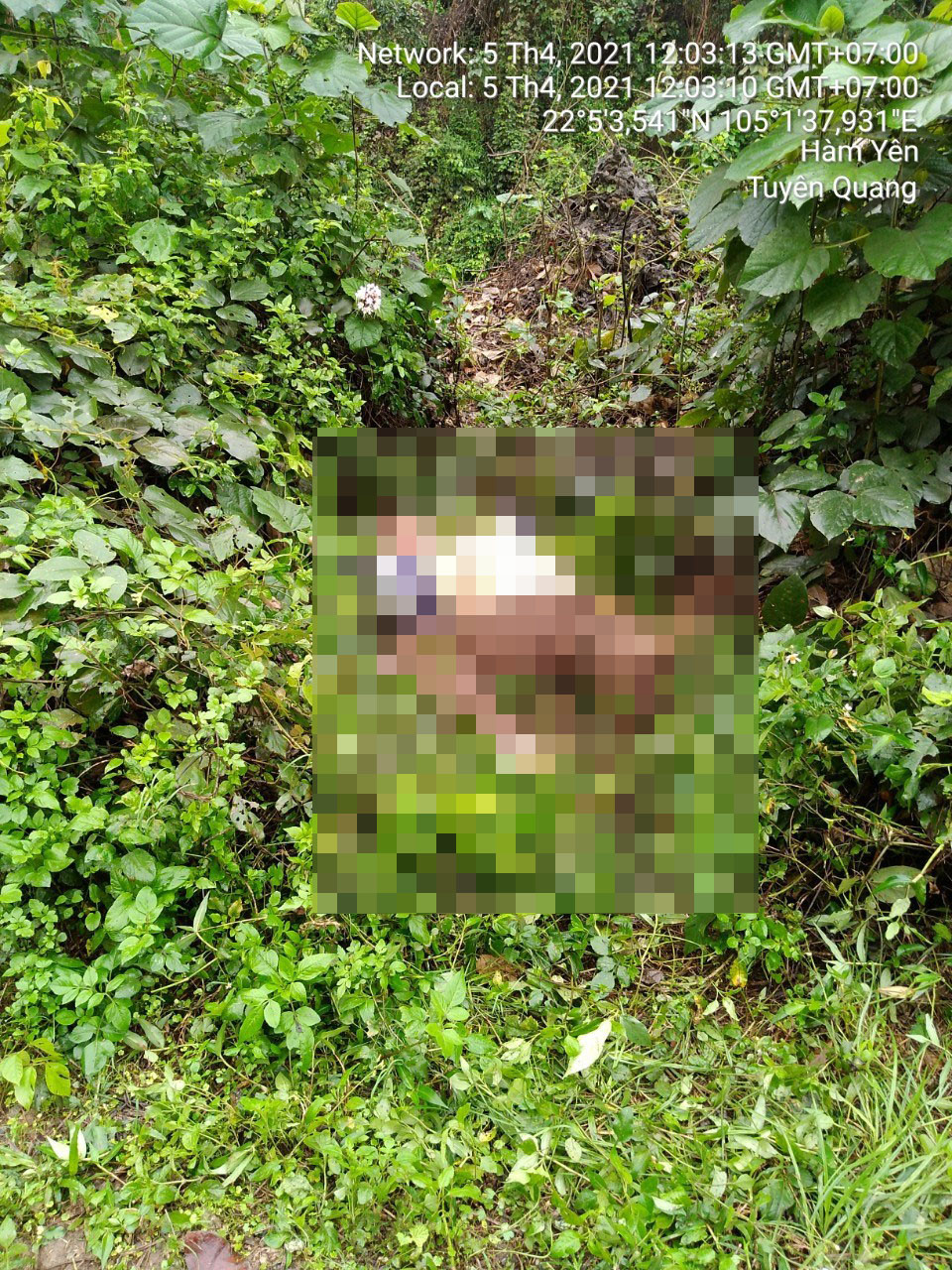 Nhận được tin báo, lực lượng chức năng huyện Hàm Yên đã có mặt bảo vệ hiện trường và phân luồng giao thông.