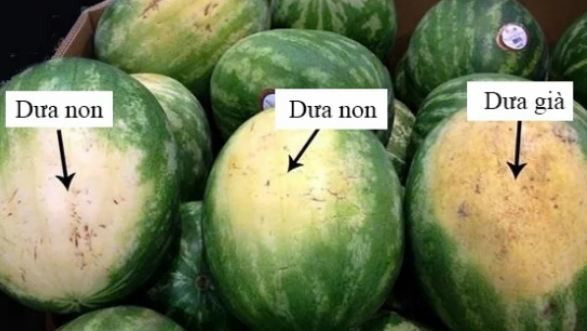 Nguoi ban hang khong bao gio tiet lo: Nhan biet dua hau ngon hay bi tiem nitrat