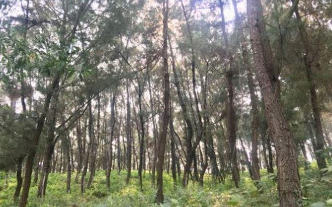  Cựu Bí thư chi đoàn làm kinh tế giỏi chết với vết thương trên cổ, bụng: Ngày 2/4, Công an tỉnh Nghệ An đang điều tra nguyên nhân tử vong của ông N.B.N. (40 tuổi) trên cơ thể ông N. có nhiều vết đâm ở bụng và cổ. Người nhà nạn nhân cho biết, ông N. từng là bí thư chi đoàn và là điển hình làm kinh tế giỏi. 