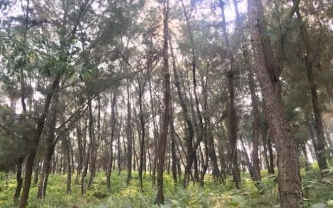  Cựu Bí thư chi đoàn làm kinh tế giỏi chết với vết thương trên cổ, bụng: Ngày 2/4, Công an tỉnh Nghệ An đang điều tra nguyên nhân tử vong của ông N.B.N. (40 tuổi) trên cơ thể ông N. có nhiều vết đâm ở bụng và cổ. Người nhà nạn nhân cho biết, ông N. từng là bí thư chi đoàn và là điển hình làm kinh tế giỏi. 