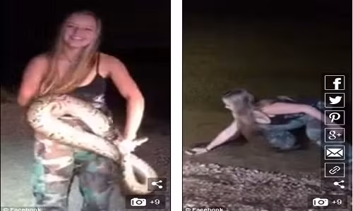 Nhiều người xem tỏ ra lo lắng cho cô gái sẽ gặp rắc rối với trăn khổng lồ.