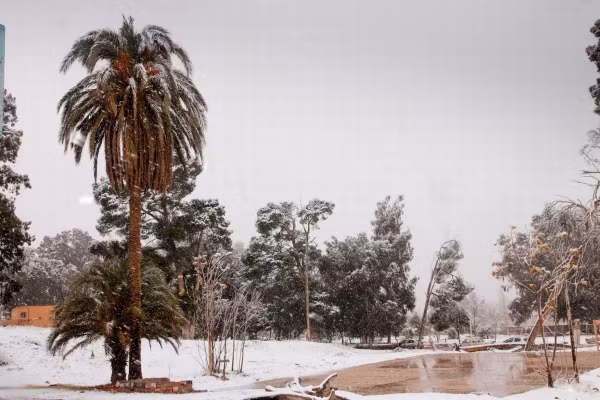 Theo các chuyên gia, trong những tháng gần đây, khối không khí lạnh từ châu Âu tràn xuống phía nam, từ đó dẫn tới tình trạng lạnh giá tại Bắc Phi.