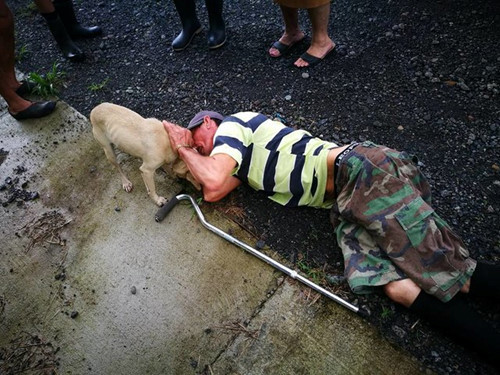 Nhìn thấy người chủ ngã gục dưới đất trông rất đau đớn, chú chó thông minh này vội vã đi tìm người giúp đỡ. Thậm chí, con chó lao đến và liếm láp khắp mặt như để an ủi, trời đổ mưa và con chó vẫn đứng cạnh người đàn ông để che chắn.