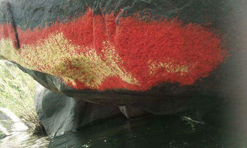 Đá "nở hoa" ở xã Tiên An