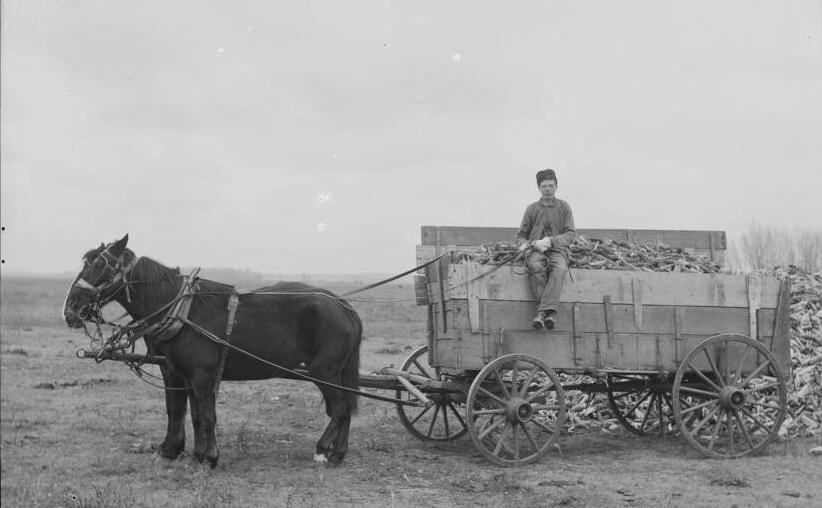 Can canh cuoc song nhung nguoi dinh cu dau tien tai Nebraska-Hinh-4