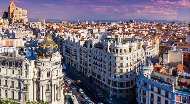 Tây Ban Nha là nước sản xuất dầu ô liu lớn nhất thế giới, chiếm khoảng 40% sản lượng toàn cầu. Ảnh: NG.