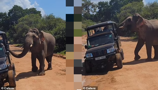 Khoanh khac gay soc voi hung du tan cong khach du lich