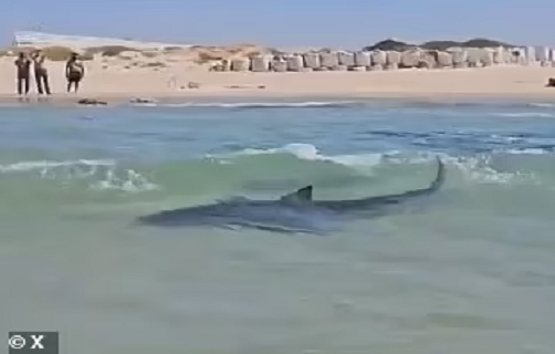 Kinh hai tho lan bi ca map tan cong, mat tich tren bien