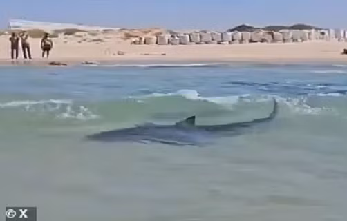 Kinh hai tho lan bi ca map tan cong, mat tich tren bien