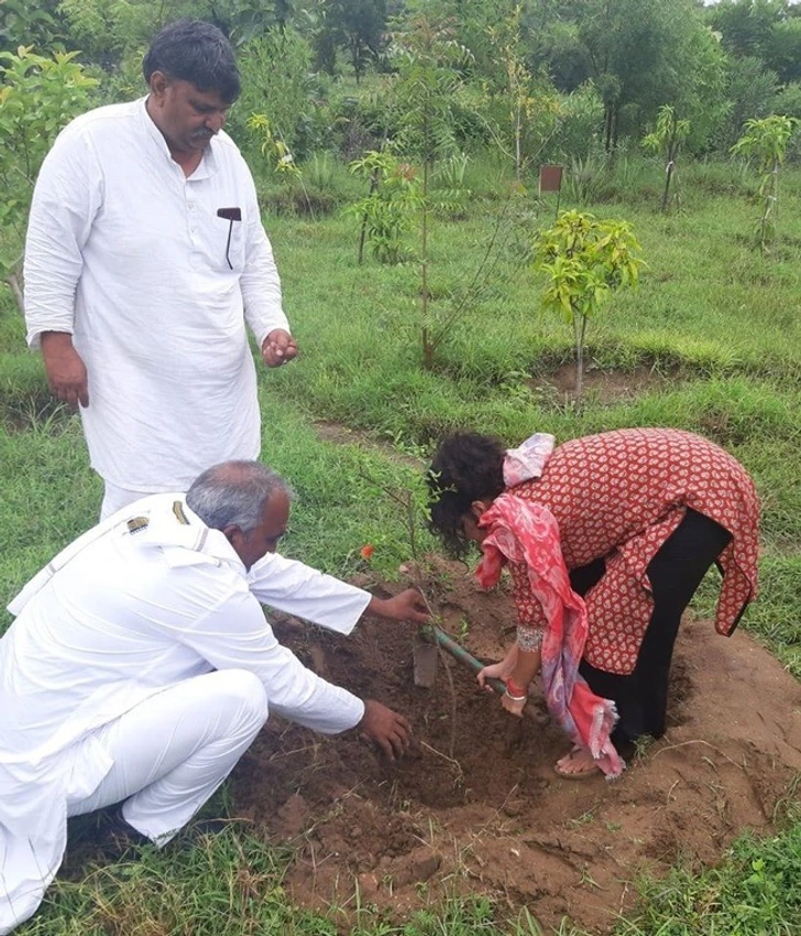 Kể từ khi cây đầu tiên được trồng, đến nay, khu vực trong và xung quanh Piplantri đã có hàng trăm nghìn cây xanh.