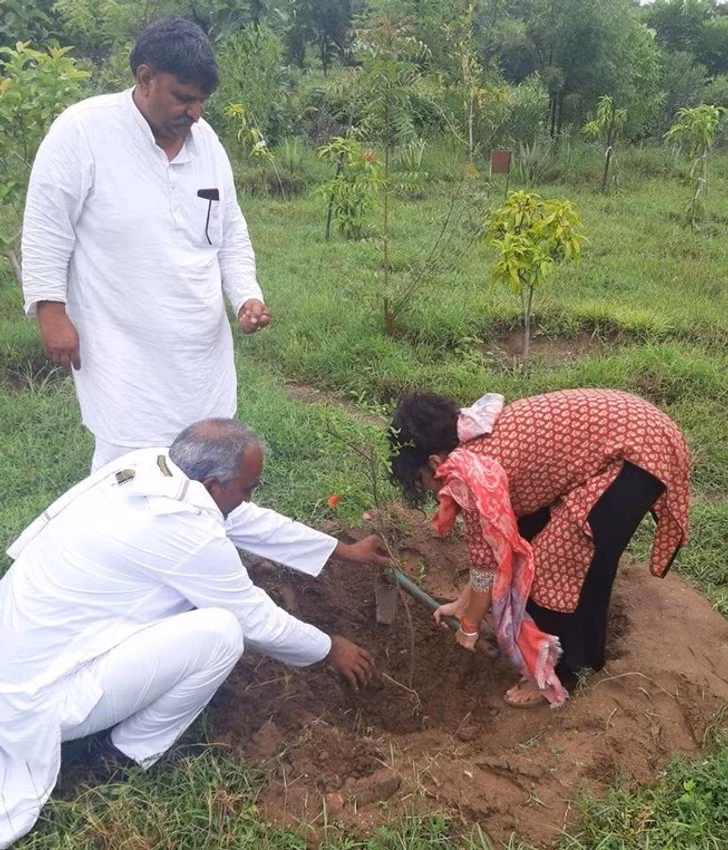 Kể từ khi cây đầu tiên được trồng, đến nay, khu vực trong và xung quanh Piplantri đã có hàng trăm nghìn cây xanh.