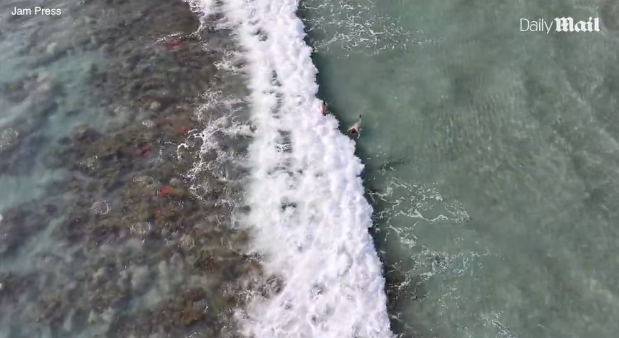 "Tôi sẽ không bao giờ dám xuống nước nữa", một cư dân mạng bình luận.