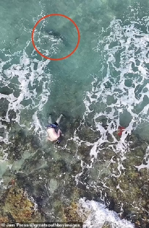 Trong cảnh quay bằng máy bay không người lái do nhiếp ảnh gia địa phương Michael Busch ghi lại được gần đây, có thể thấy một người đàn ông và một phụ nữ đang khám phá rạn san hô của bãi biển. 