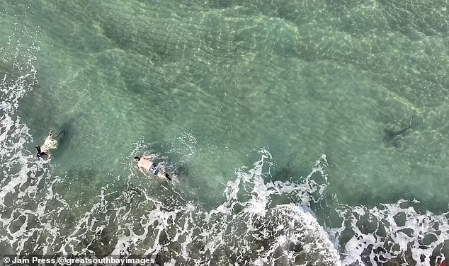 Đoạn clip được đăng tải đã thu hút hàng nghìn lượt xem, với nhiều bình luận bày tỏ sự kinh ngạc trước tình huống thoát chết trong gang tấc của hai người thợ lặn này. 