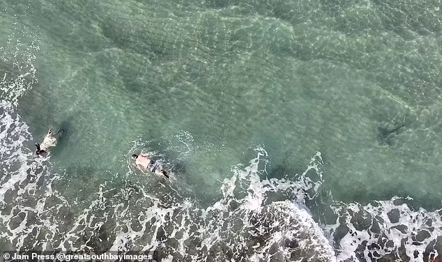 Đoạn clip được đăng tải đã thu hút hàng nghìn lượt xem, với nhiều bình luận bày tỏ sự kinh ngạc trước tình huống thoát chết trong gang tấc của hai người thợ lặn này. 