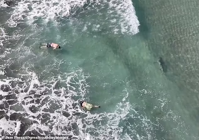 Ông nói với NeedToKnow: "Tôi ước gì máy bay không người lái của mình có loa để cảnh báo họ". 