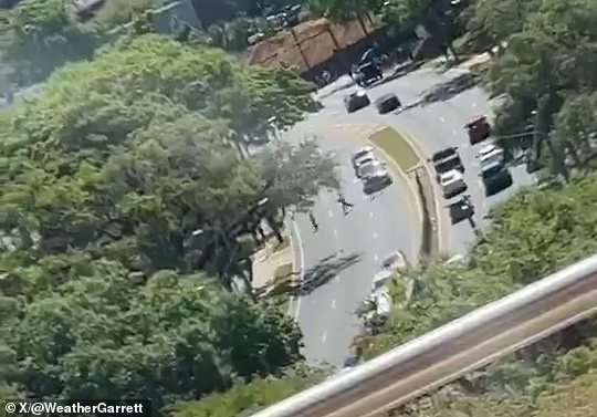 Nhiều sinh viên hoảng sợ tháo chạy khi tiếng súng vang lên khắp khuôn viên trường. Ảnh: X.