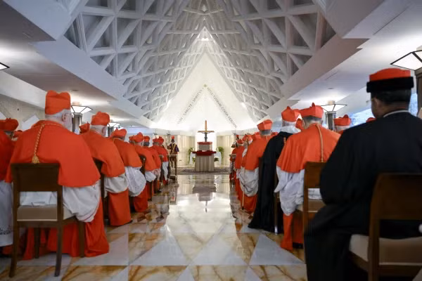 Dieu dac biet ve le tang cua Giao hoang Francis-Hinh-6