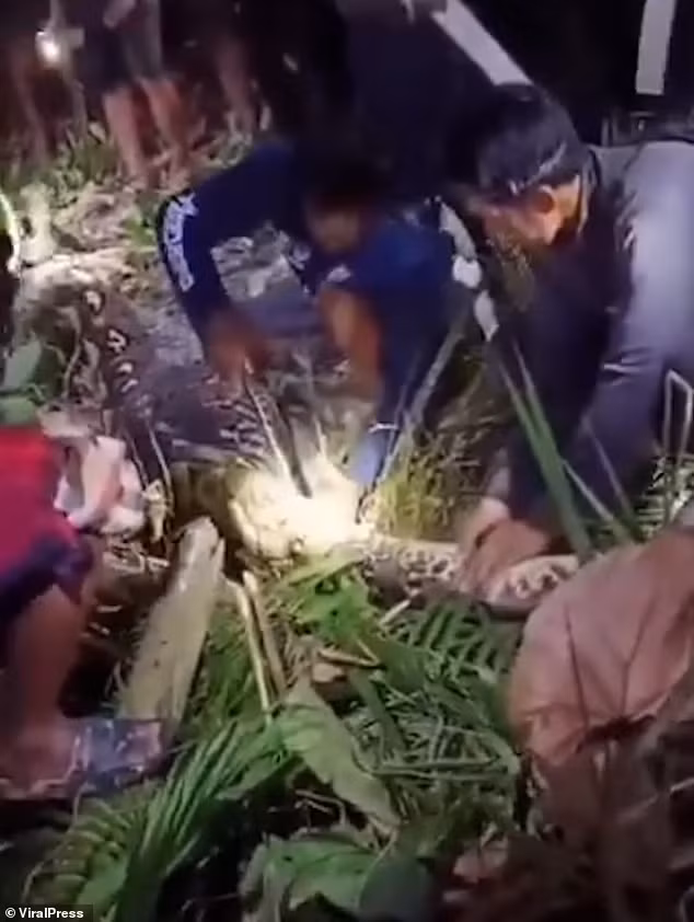 Phat hien bung tran to bat thuong, rung roi thay thu ben trong-Hinh-5