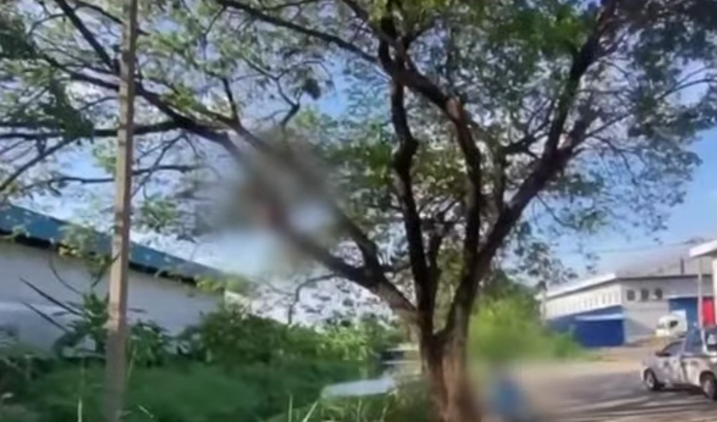 Nguoi dan ong tu tu sau tranh cai voi me ve mui thuc an