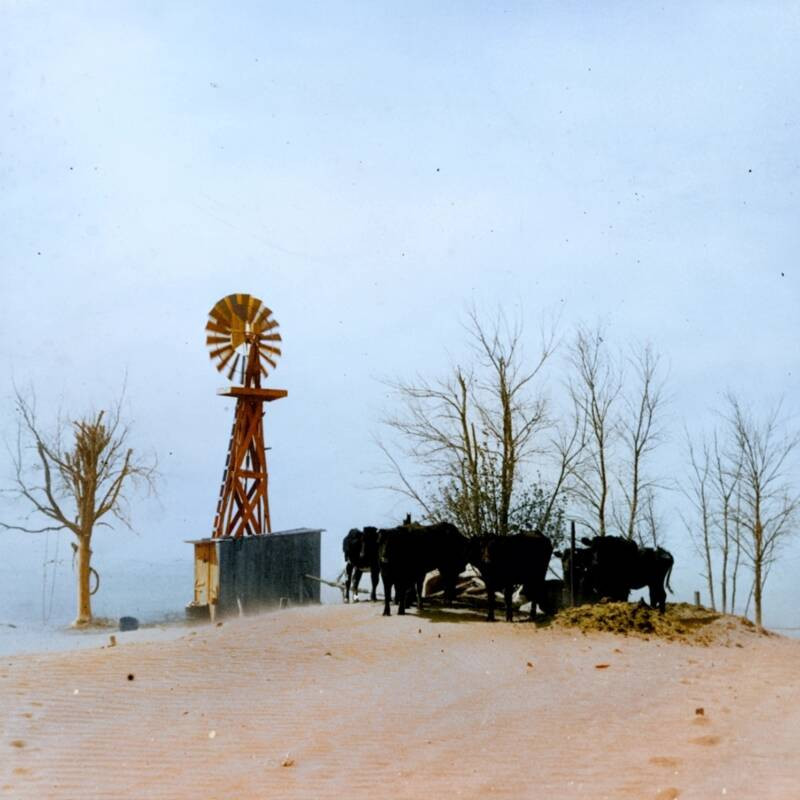 Hố nước dành cho gia súc phủ đầy bụi ở Cimarron, Oklahoma, năm 1936.