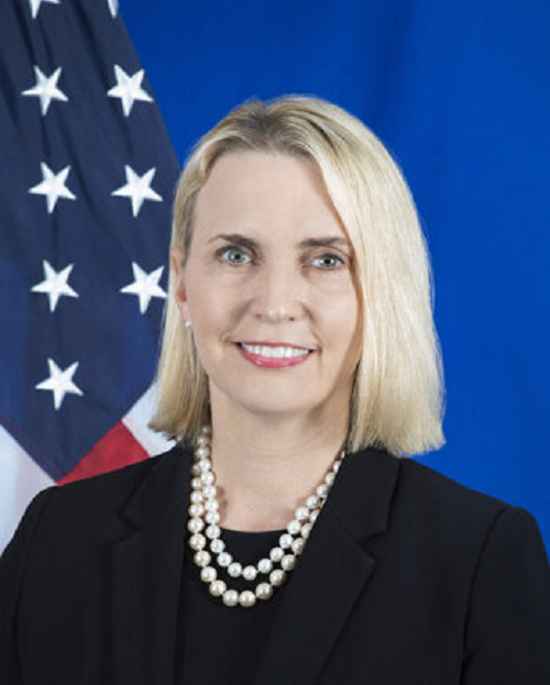 Chan dung nu Dai su My tai Ukraine xin tu chuc-Hinh-7