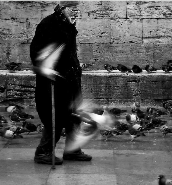 Cụ ông đi qua những chú chim bồ câu đậu trên một con đường ở Thổ Nhĩ Kỳ.