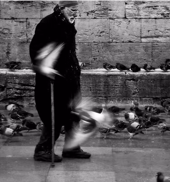 Cụ ông đi qua những chú chim bồ câu đậu trên một con đường ở Thổ Nhĩ Kỳ.