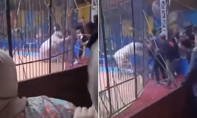 Khoanh khac kinh hoang ho tan cong nguoi bieu dien xiec