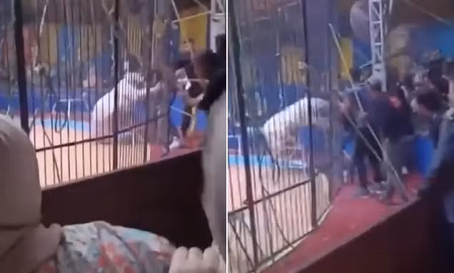 Khoanh khac kinh hoang ho tan cong nguoi bieu dien xiec