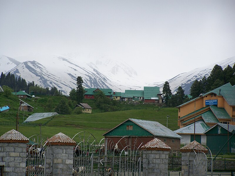 Gulmarg ở Jammu và Kashmir là điểm đến trượt tuyết phổ biến nhất của Ấn Độ. Ảnh: Wikipedia.