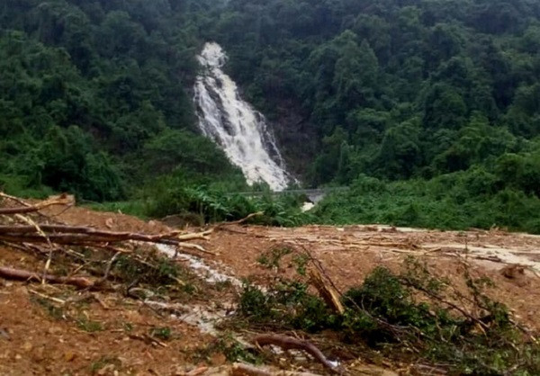  Hai người đàn ông được phát hiện tử vong trên võng: Ngày 4/12, người thân vào rừng tìm kiếm thì phát hiện ông Trương Văn Hậu (56 tuổi) và ông Võ Văn Sơn (54 tuổi trú tại xã Quảng Hợp, huyện Quảng Trạch, Quảng Bình) đều tử vong khi đang nằm trên võng, thi thể không có dấu vết bất thường. Trước đó, hai nạn nhân vào rừng thuộc xã Trường Sơn, huyện Quảng Ninh để đặt bẫy săn thú rừng từ ngày 20/11 sau đó mất tích. Ảnh minh họa.