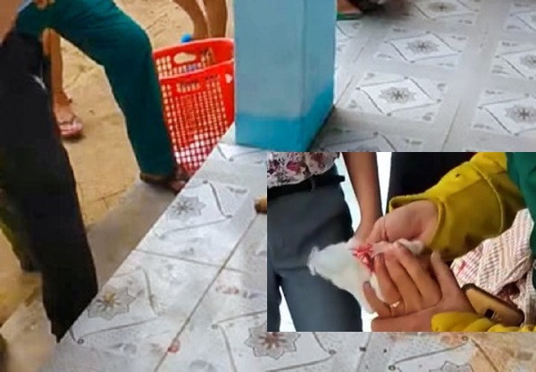 Khanh Hoa: Co giao co tien su tam than dung dao tan cong dong nghiep