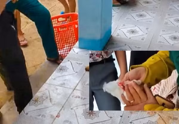 Khanh Hoa: Co giao co tien su tam than dung dao tan cong dong nghiep